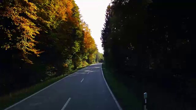 在阳光明媚的日子里，驾车穿过秋天的森林视频素材