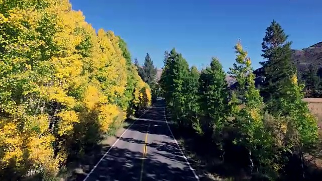 美丽的无人机拍摄沿着一条孤独的道路在加利福尼亚山区，树木正在改变颜色。视频素材