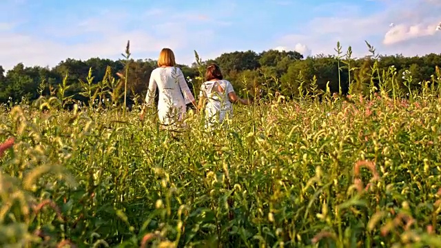 母亲和女儿走过高高的草丛视频下载