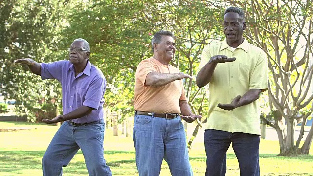 三个老人试图在公园里打太极视频素材