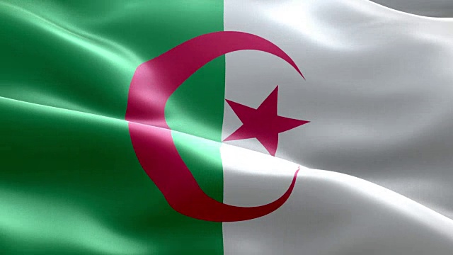 阿尔及利亚国旗波浪图案可循环元素视频下载