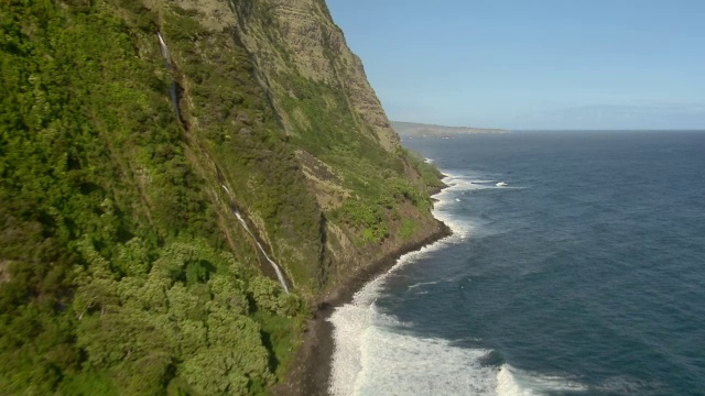 热带雨林生长在夏威夷大岛哈马库亚海岸的海岸和悬崖峭壁上。视频素材
