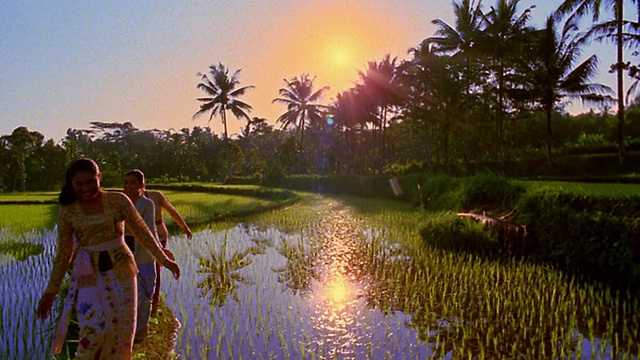 宽镜头摄影机拍摄慢镜头三个年轻的巴厘妇女走在稻田/印度尼西亚视频素材