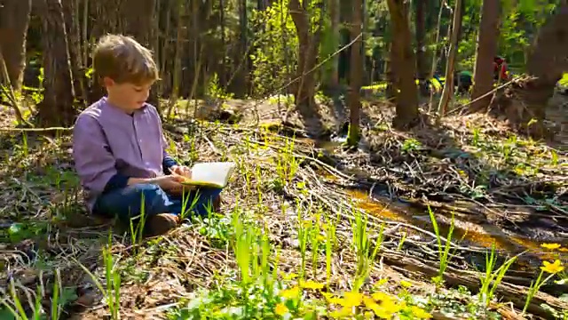 CU男孩在阳光明媚的森林空地上读书视频素材