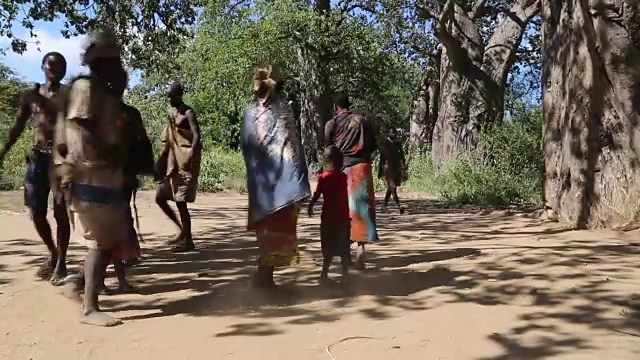 坦桑尼亚，Eyasi湖，哈扎比部落，人们在一棵大猴面包树旁跳着传统的舞蹈和唱歌视频下载