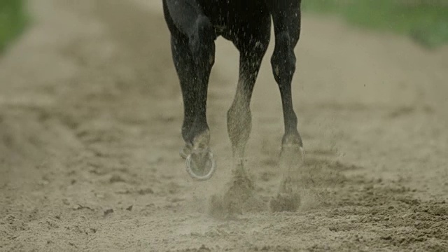 慢镜头跑马在沙地上，马蹄，直行，近距离视频素材