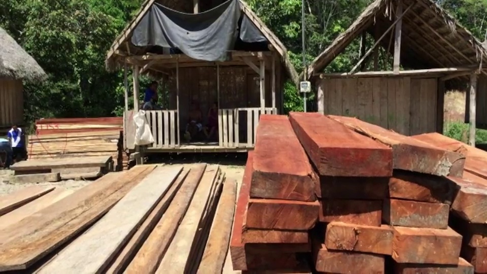 特写，广角拍摄，放大和向上，半珍贵的木材从厄瓜多尔热带雨林和堆集之前从这个南美国家的东方部门运输。视频素材