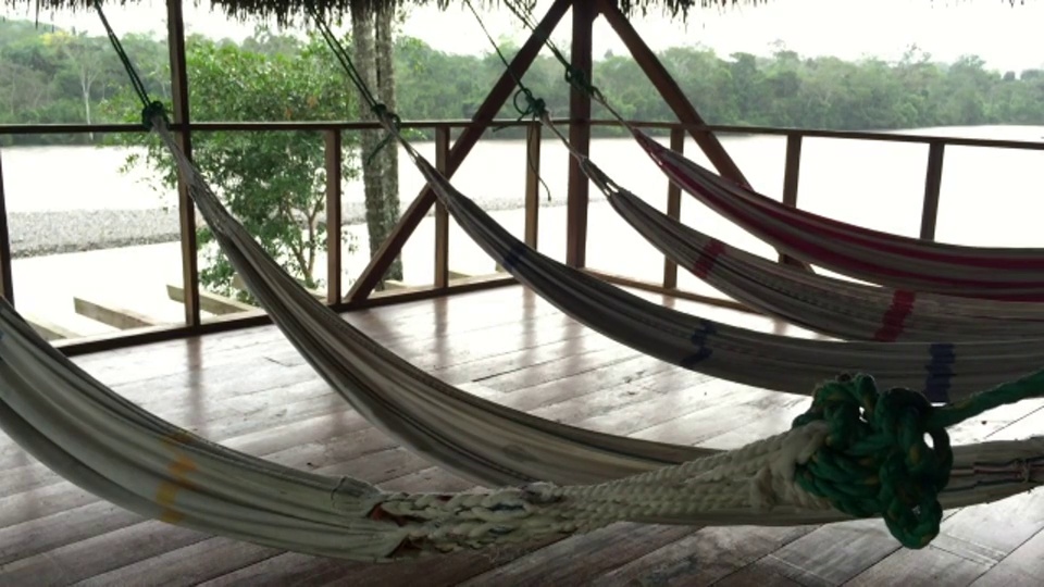 在厄瓜多尔亚马逊河纳波河附近的丛林保护区，空吊床悬挂在木制甲板上。视频素材