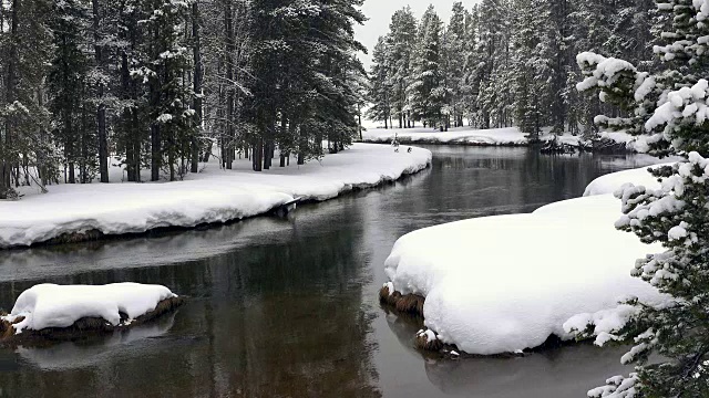 冬季景观，黄石国家公园视频下载