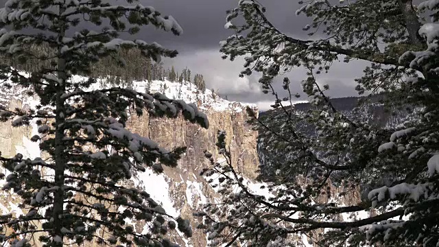 黄石大峡谷透过树林一瞥，黄石国家公园，冬天视频下载