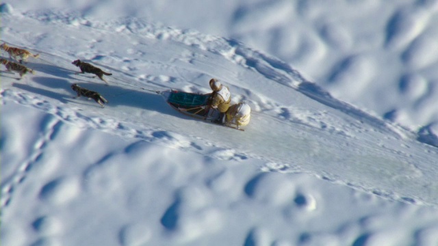 加拿大育空地区举行的狗拉雪橇比赛中，一队雪橇犬和一名雪橇犬在冬季进行比赛。视频购买
