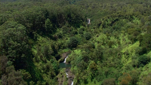 阳光照亮了茂密森林中的一系列瀑布。视频素材