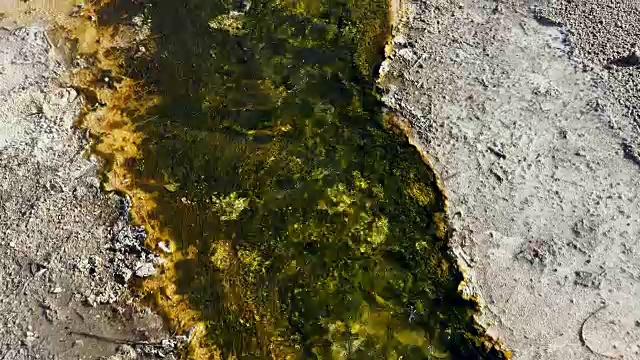 冬天，在黄石国家公园的间歇泉中流淌着水藻的溪流视频下载