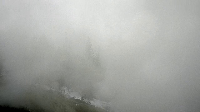冬天，在黄石国家公园诺里斯间歇泉盆地地热区的蒸汽中，树木忽出现忽消失视频下载