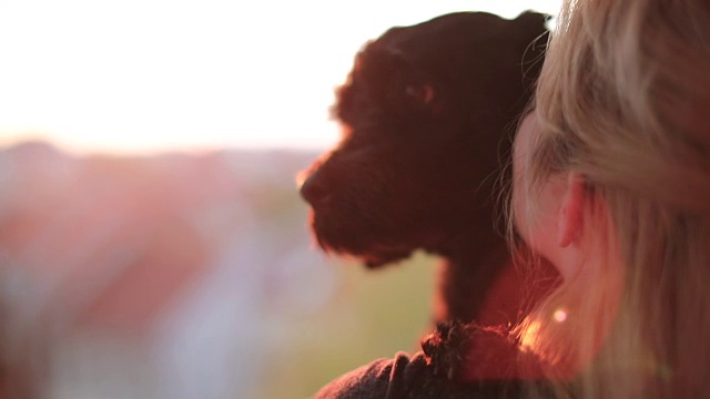 女孩和一只小狗在欣赏美丽的城市日落视频素材