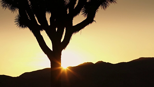 沙漠的日落视频下载