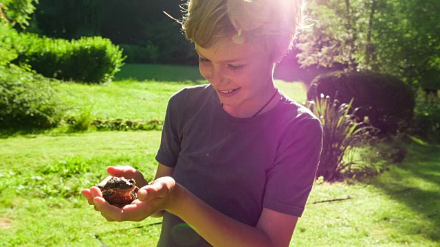 男孩在花园里发现青蛙视频素材