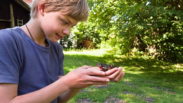 CU男孩在花园里发现青蛙视频素材