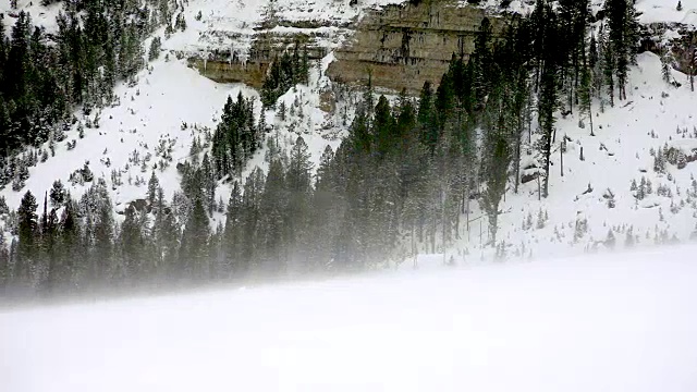 雪花飘飘，黄石国家公园，冬天视频下载