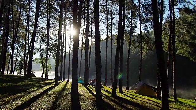 mahongsorn的松树和日出。视频素材