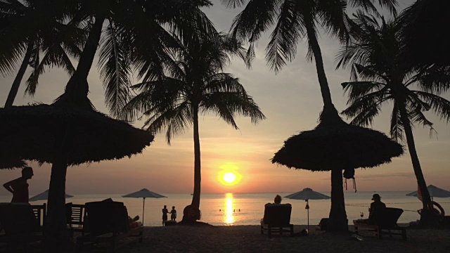 海边的日落，长滩上的棕榈树视频下载