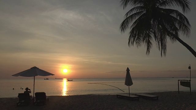 日落在海上和棕榈树在长滩视频下载