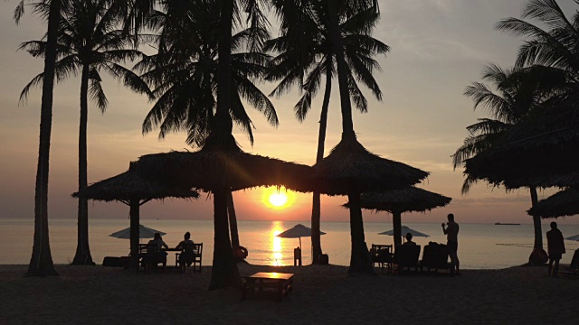 海边的日落，长滩上的棕榈树视频下载