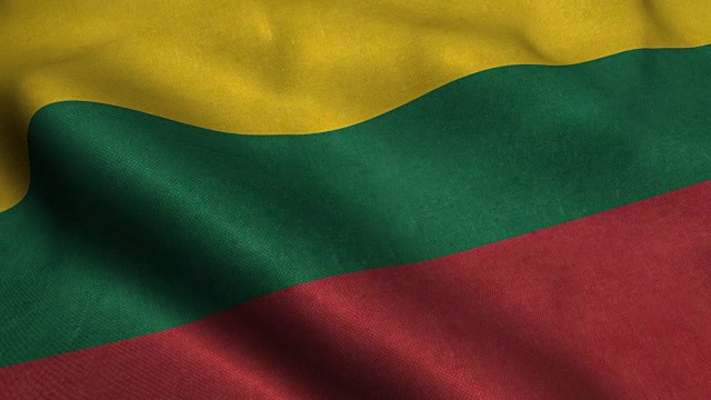 立陶宛国旗视频下载