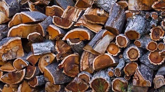 软木橡树，Faia Brava, Côa山谷，西伊比利亚，葡萄牙，欧洲，野生的欧洲视频素材
