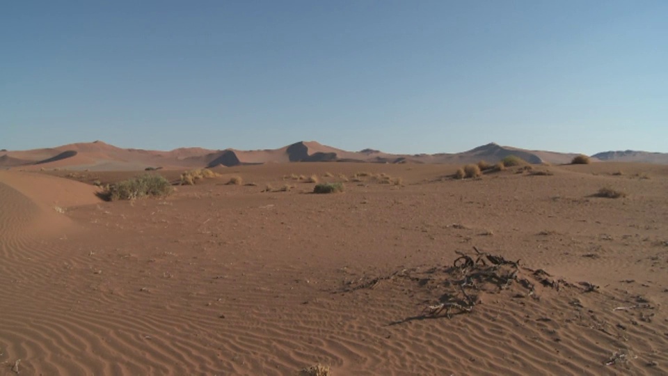 起伏的沙子是南非索苏苏韦沙丘的特征。视频下载