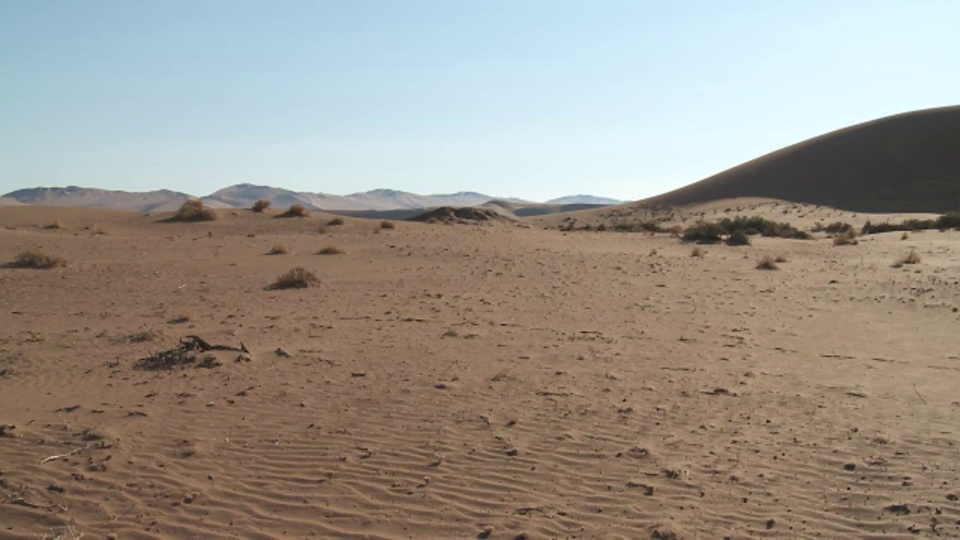 起伏的沙子是南非索苏苏韦沙丘的特征。视频下载