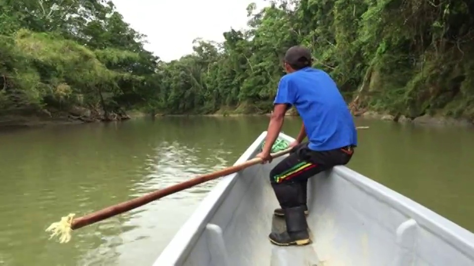 基奇瓦印第安人在厄瓜多尔亚马逊河的波波纳扎河上划独木舟视频下载