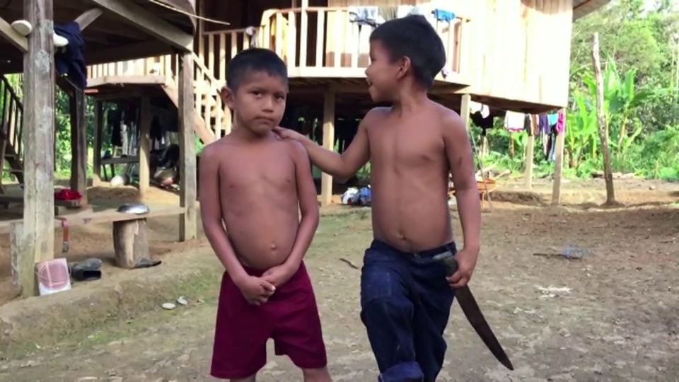 在厄瓜多尔亚马逊地区的萨拉亚库自治区的一个原始村庄里，年轻的印度基奇瓦兄弟赤裸上身拍照视频素材