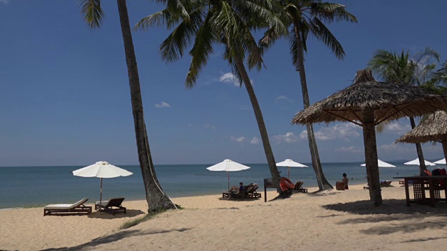 长滩的遮阳伞和棕榈树视频下载