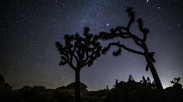 时光流逝:沙漠与乔舒亚树在夜间跟踪拍摄视频下载