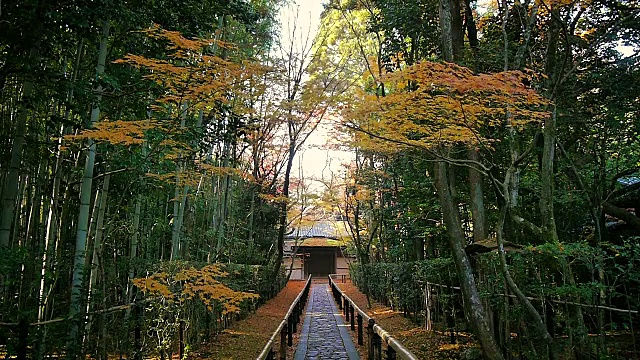 日本京都的景色视频下载
