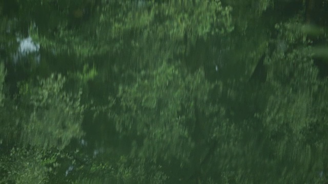系列聚焦于平静的康河表面，它反映了英国河岸上的翠绿树木。视频素材