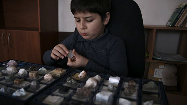 男孩看了看收藏品中的石头视频下载