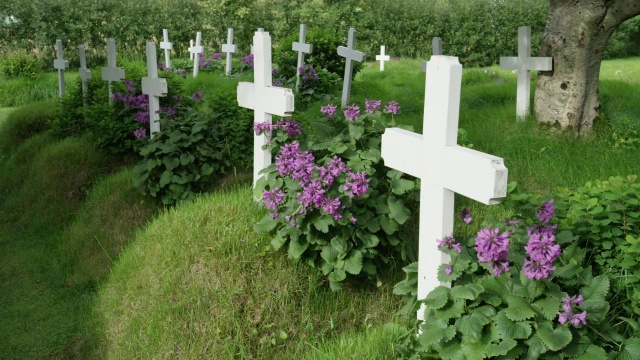 冰岛奥斯特-斯卡夫菲尔斯斯拉公墓中一排排鲜花的十字架视频下载