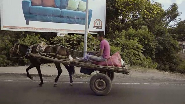 马车与马在拉丁美洲国家从汽车视频下载