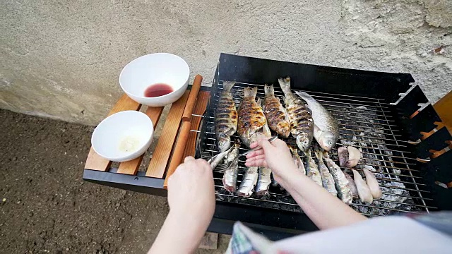 观点烤鱼。视频下载