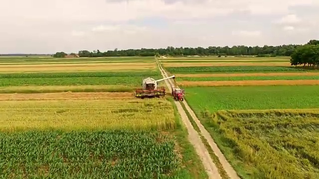 空中联合收割机收割小麦视频素材