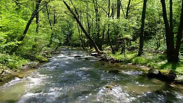 美丽的小溪在山上视频素材