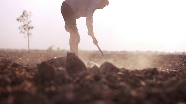 农民在地里挖土视频下载