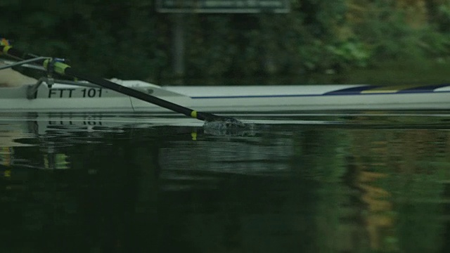 近距离拍摄的一个划艇运动赛艇滑过平静的河Cam，剑桥，英国。视频素材