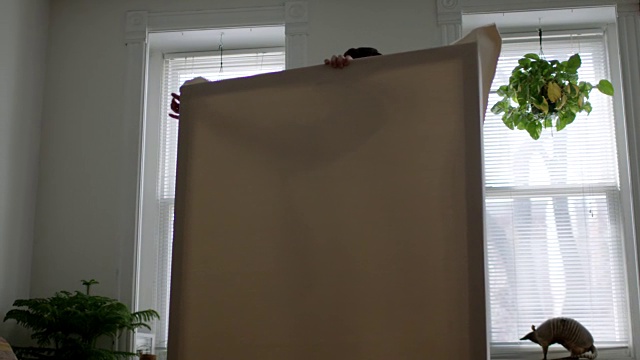 艺术家WS SLO在现代公寓里组装了一个拉伸的帆布画框。视频下载
