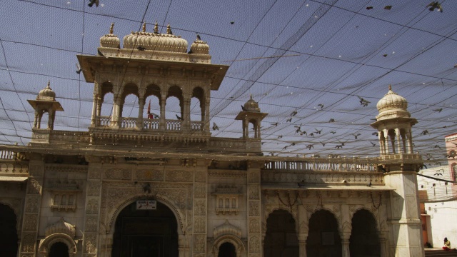 卡尼玛塔神庙的庭院，鸽子群在头顶飞翔视频素材
