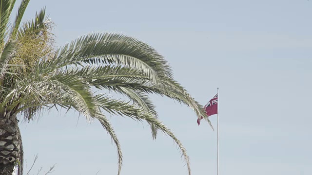 百慕大国旗在汉密尔顿港迎风飘扬视频下载
