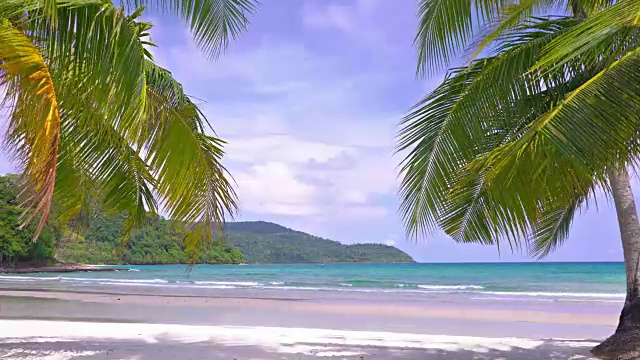 看空的梦幻海滩与棕榈树视频下载