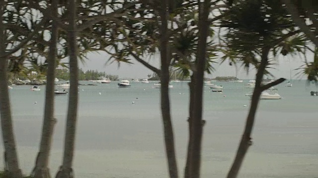 在缓慢的运动中，透过百慕大群岛汉密尔顿海岸线的汽车外的视野视频下载